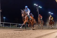 20231026-183341-YNE00155