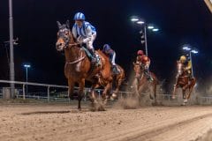 20231026-183341-YNE00156