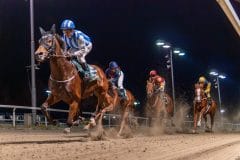 20231026-183341-YNE00157