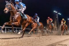 20231026-183341-YNE00158