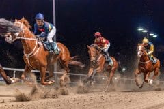 20231026-183341-YNE00160