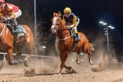 20231026-183341-YNE00163