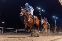 20231026-183509-YNE00189