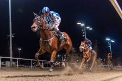 20231026-183509-YNE00190