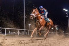 20231026-183510-YNE00195