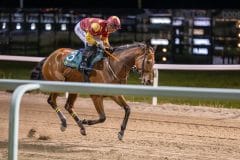 20231026-183619-DSC_7037