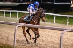 20231026-183756-DSC_7057