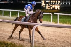 20231026-183756-DSC_7061