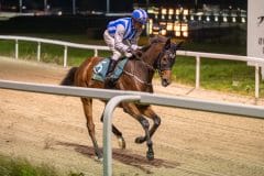 20231026-183819-DSC_5041