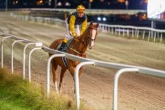 20231026-183922-DSC_5057