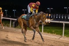 20231026-184619-DSC_5153