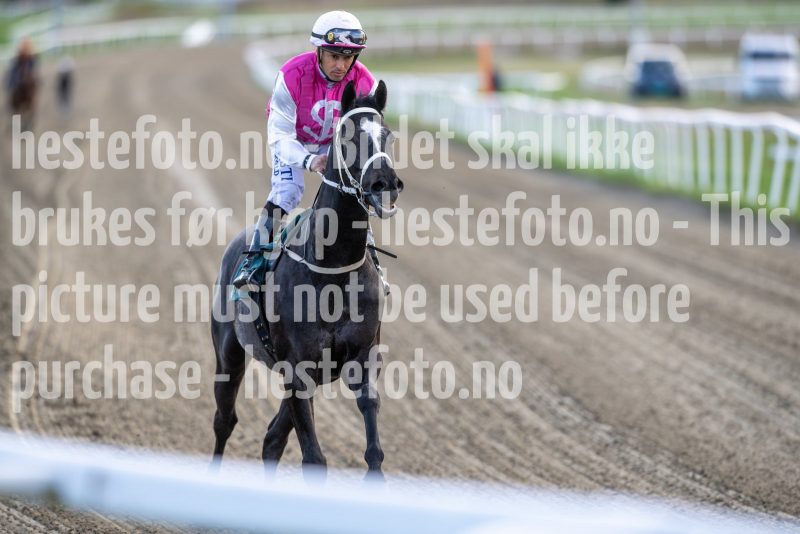 20250424-184323-DSC_1978