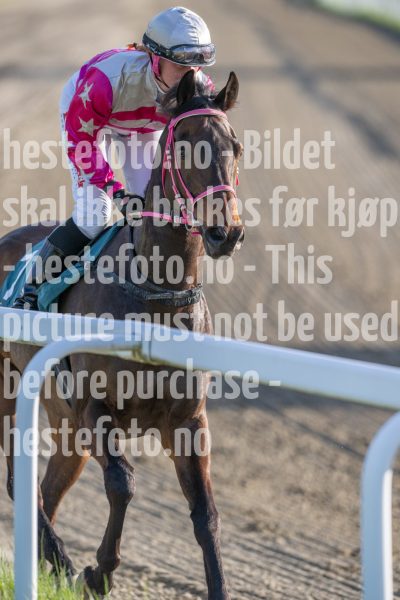 20250508-193042-DSC_8581