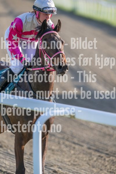20250508-193042-DSC_8586