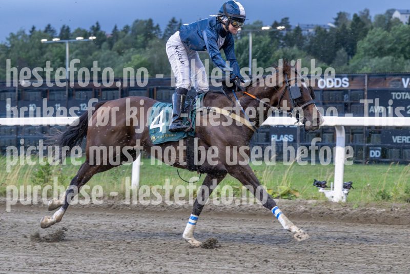 20250904-193721-DSC_9814