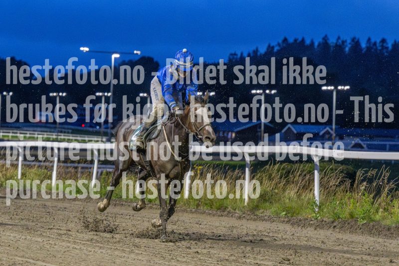 20250904-202837-DSC_1576