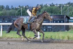 20250904-193723-DSC_9842
