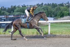 20250904-193723-DSC_9845