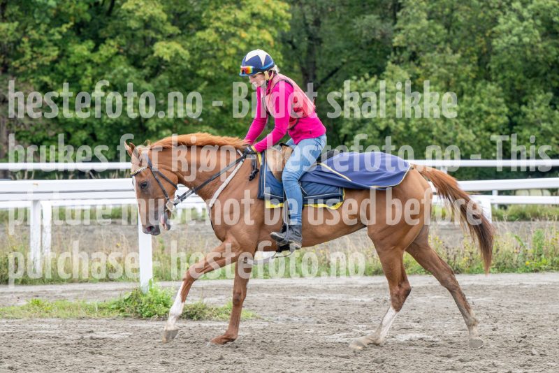 20250906-095226-DSC_4105