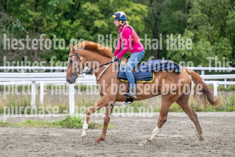 20250906-095314-DSC_4177