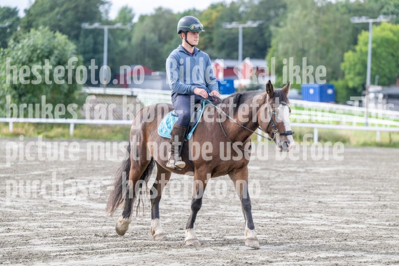 20250906-130647-DSC_4353