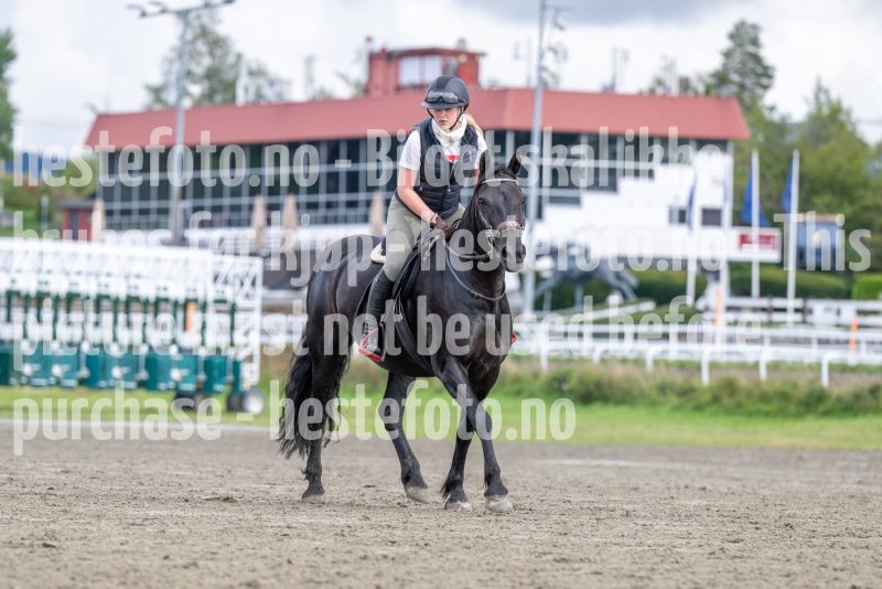 20250906-131217-DSC_4620