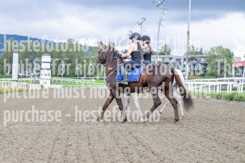 20250906-131714-DSC_4884