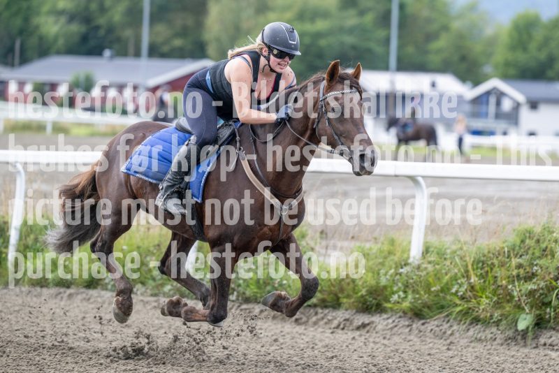 20250906-132001-DSC_5014