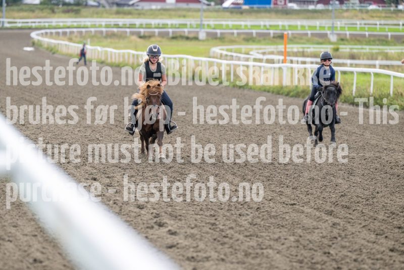 20250906-133026-DSC_5211