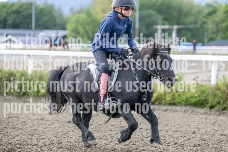 20250906-133032-DSC_5267