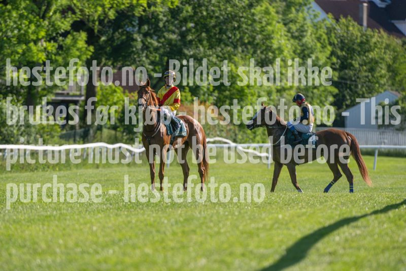 20250621-182552-DSC_2961