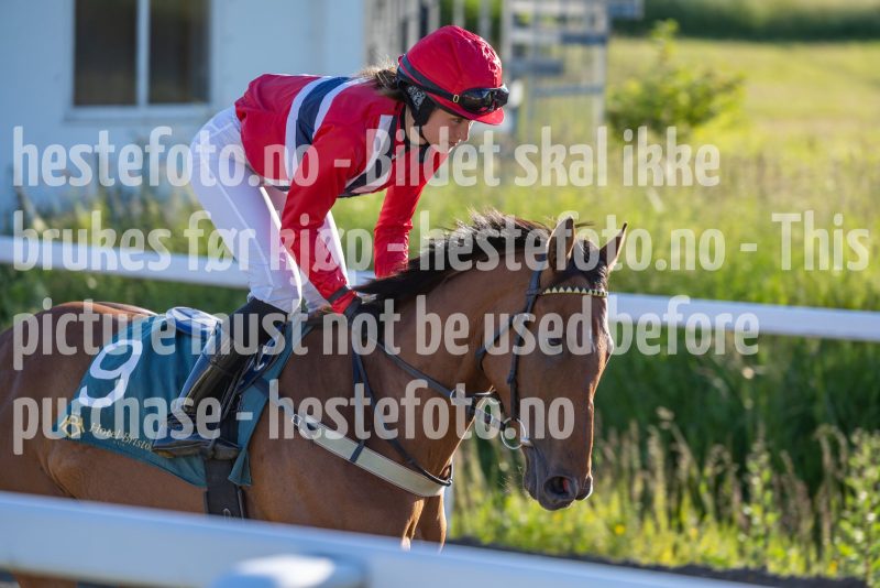 20250621-202124-DSC4812