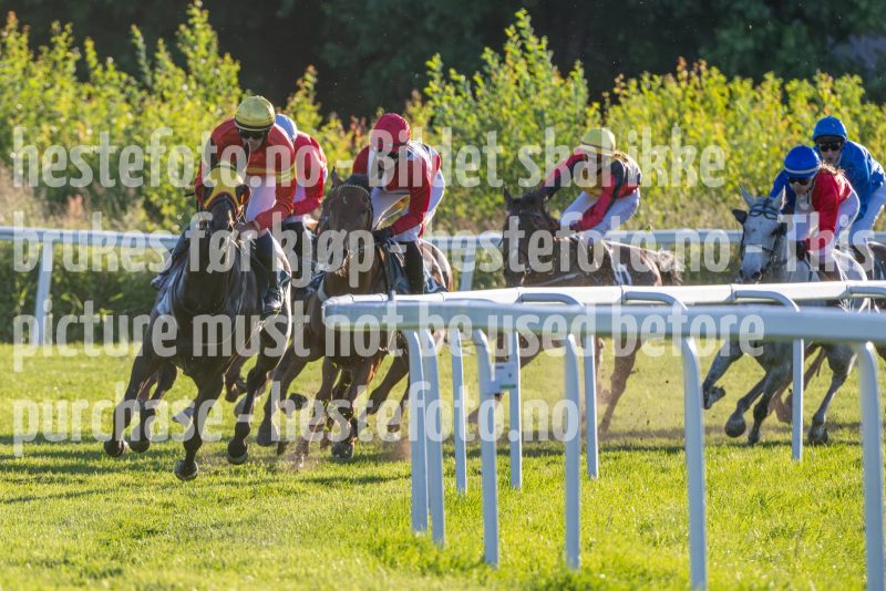 20250621-202911-DSC_4822