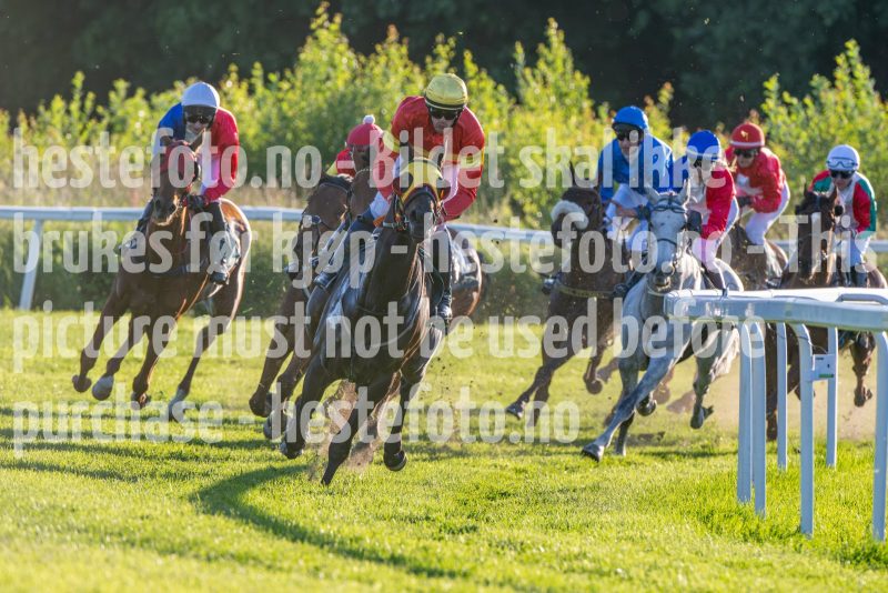 20250621-202912-DSC_4838