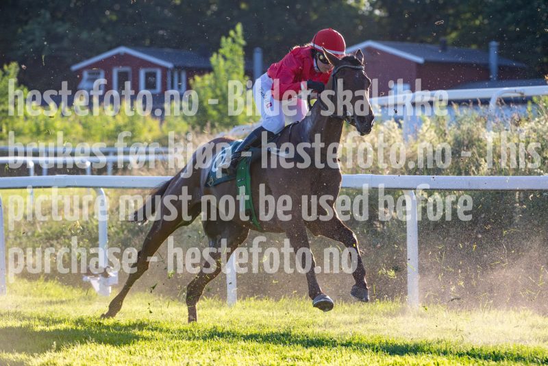 20250621-202915-DSC_4912