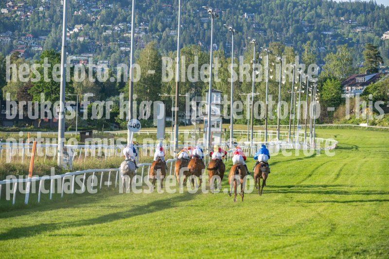 20250621-202922-DSC_4993
