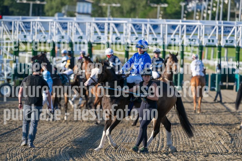 20250621-205054-DSC_5792