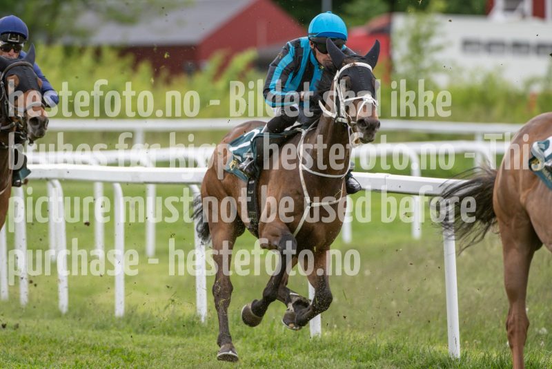 20250529-175808-DSC_6719