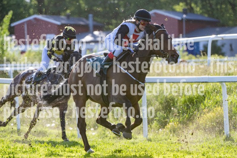 20250529-191323-DSC_7717