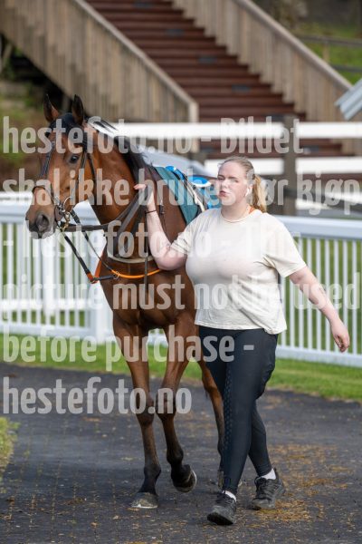 20250529-192406-DSC4840