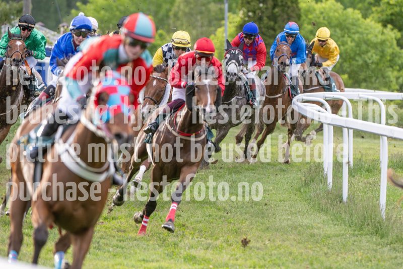 20250529-202753-DSC_8489