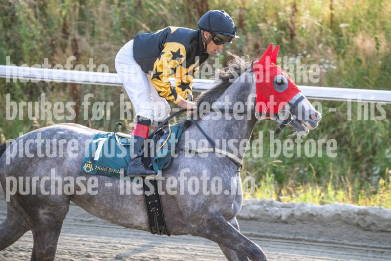 20250724-192937-DSC_7522