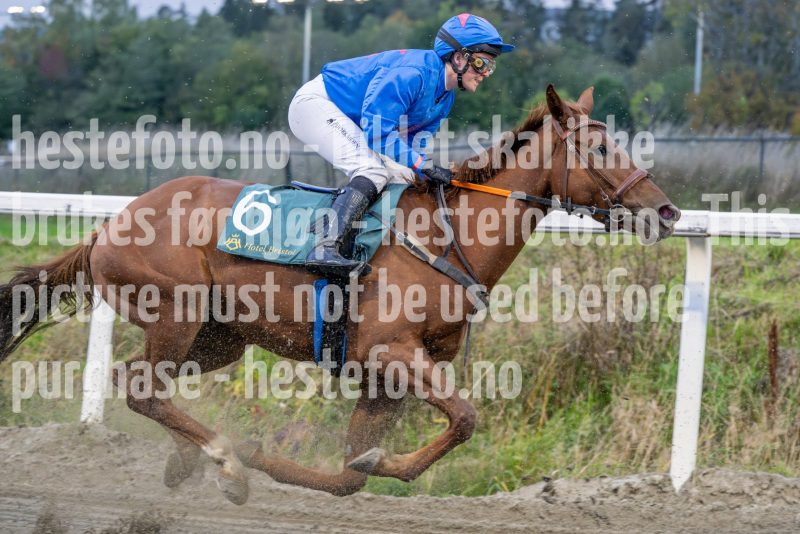 20251002-175552-DSC_0347