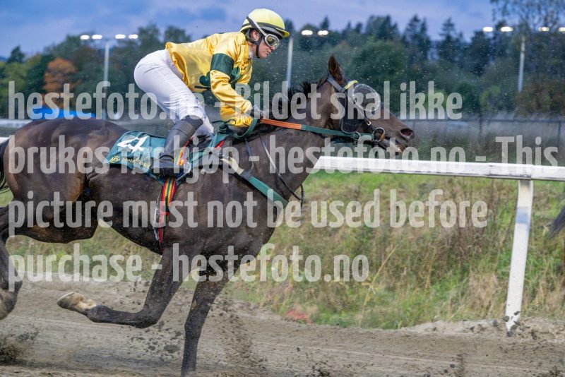 20251002-181743-DSC_0847