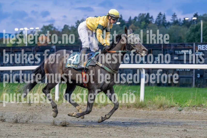 20251002-181911-DSC_0943