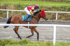 20251102-131508-DSC_7630