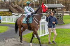 20251102-131530-DSC8795