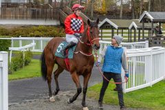 20251102-131541-DSC8805