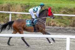 20251102-131637-DSC_7648