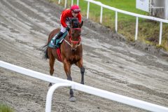 20251102-131648-DSC_7657